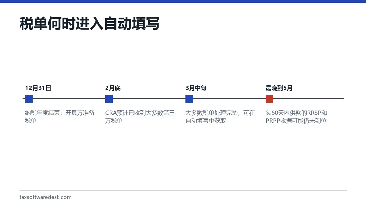 税单何时进入自动填写