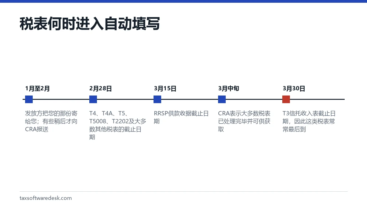 税表何时进入自动填写